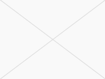 no images